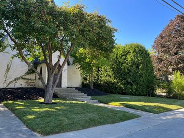 A white house with a tree in front of it and sod installed