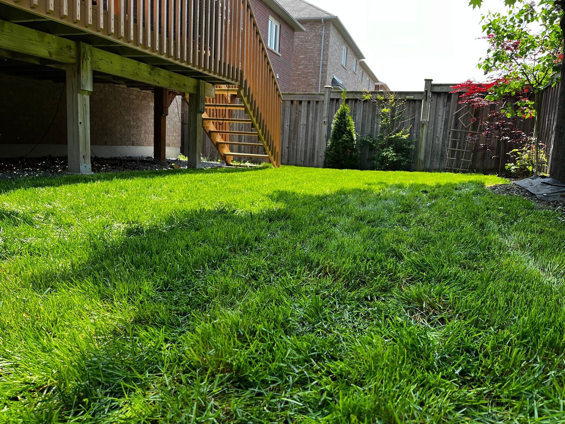 A lush green lawn in front of a house with a wooden deck and stairs.