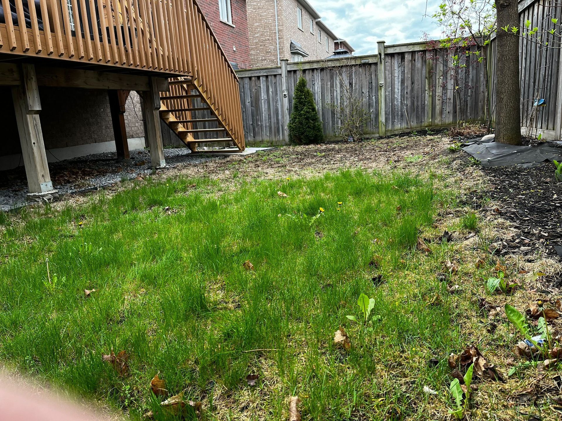 A backyard with a wooden deck and a wooden fence.