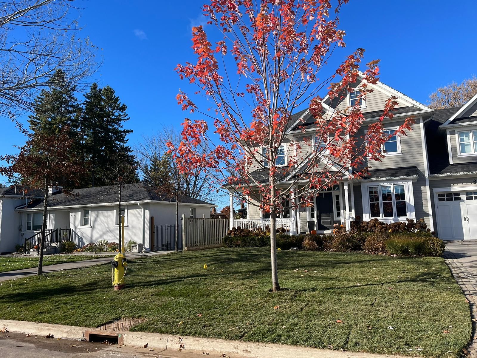 A house with a new sod installed.