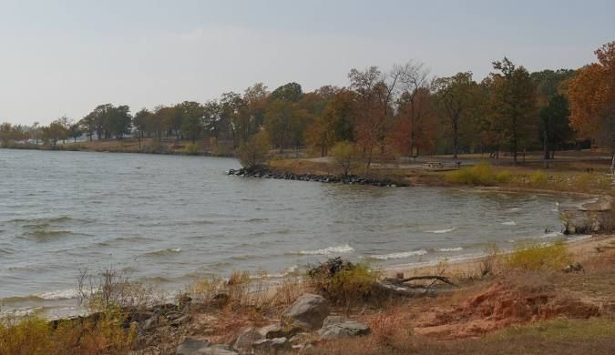 Lakeshore with rippling water, shoreline, and trees with autumn foliage under a pale sky.
