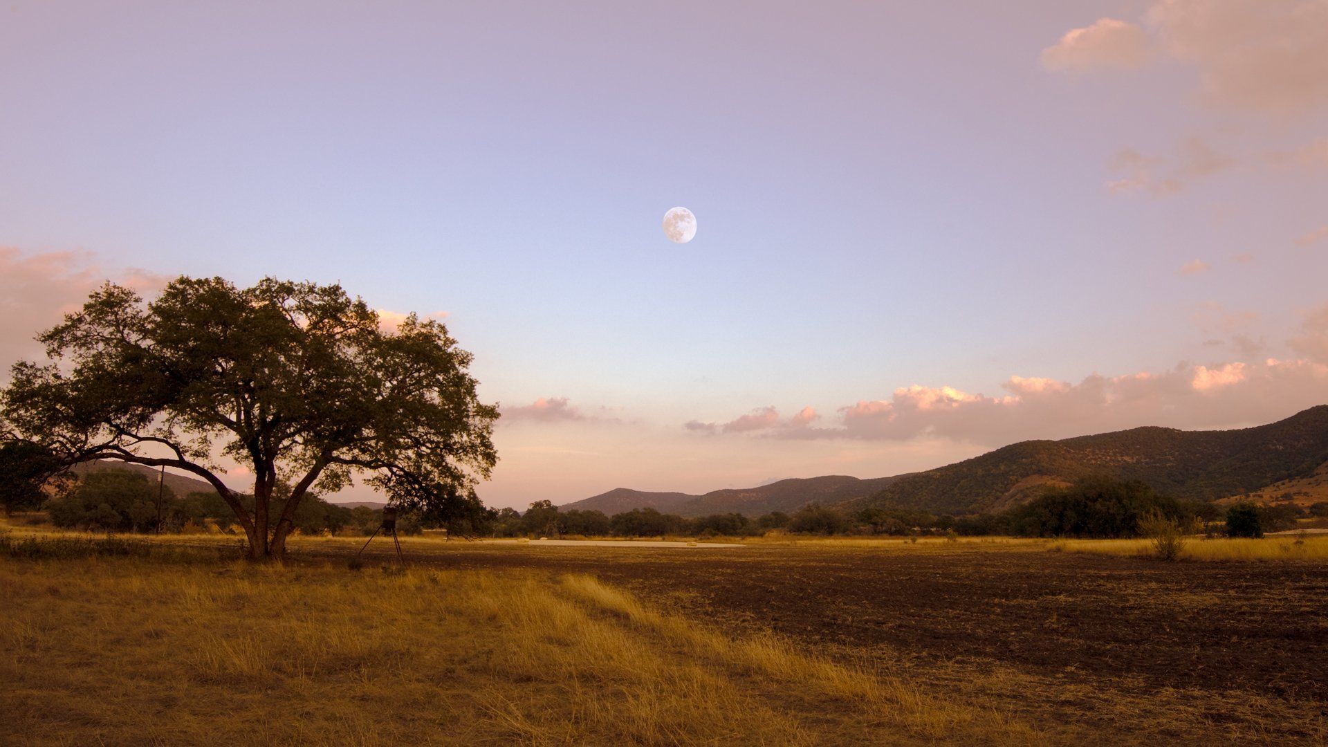 Texas Hill Country sunset