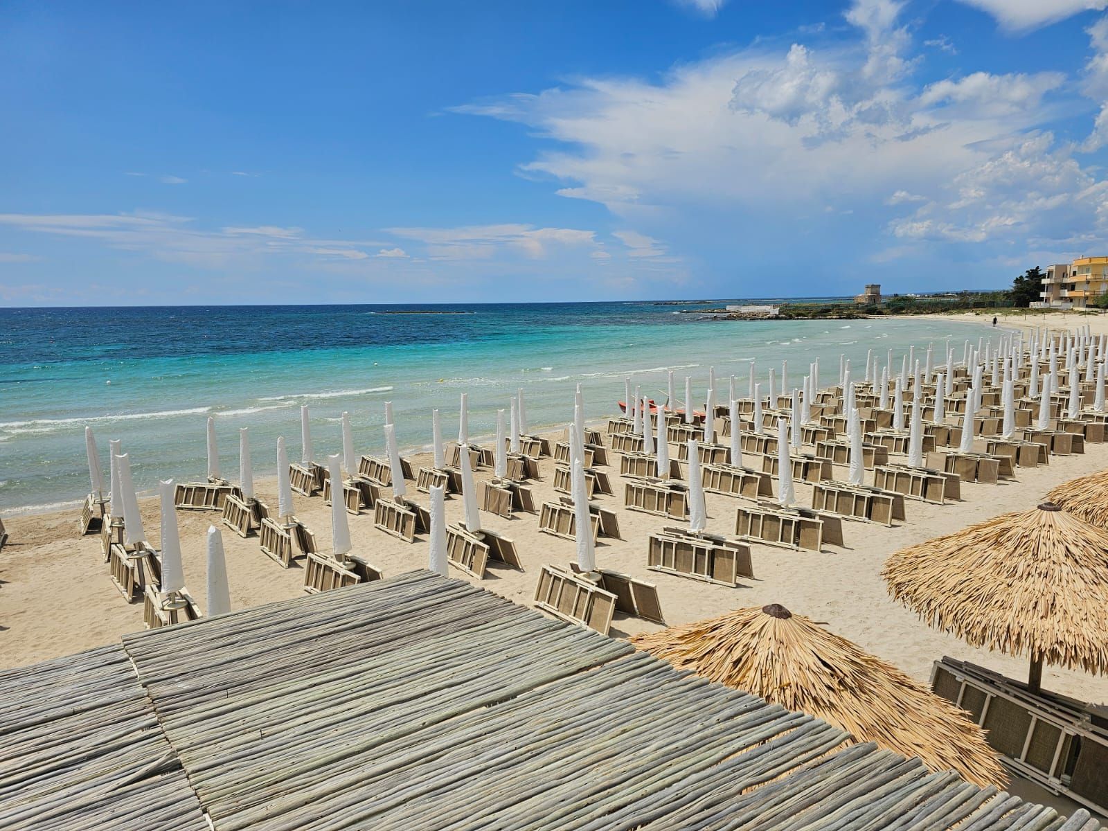 Scena di spiaggia: file di sedie a sdraio vuote con ombrelloni bianchi, acqua turchese e un cielo azzurro brillante.
