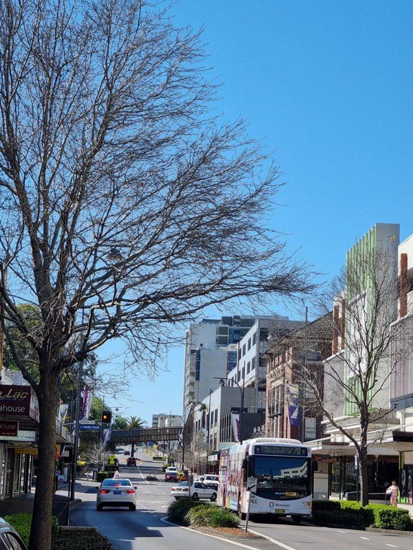 Gosford — Mobile Accountant in Hamlyn Terrace, NSW