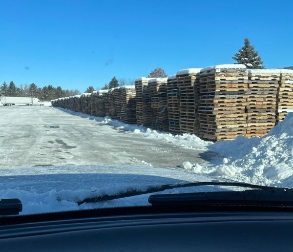 A row of wooden pallets covered in snow. Simplest Biz Student find. 

