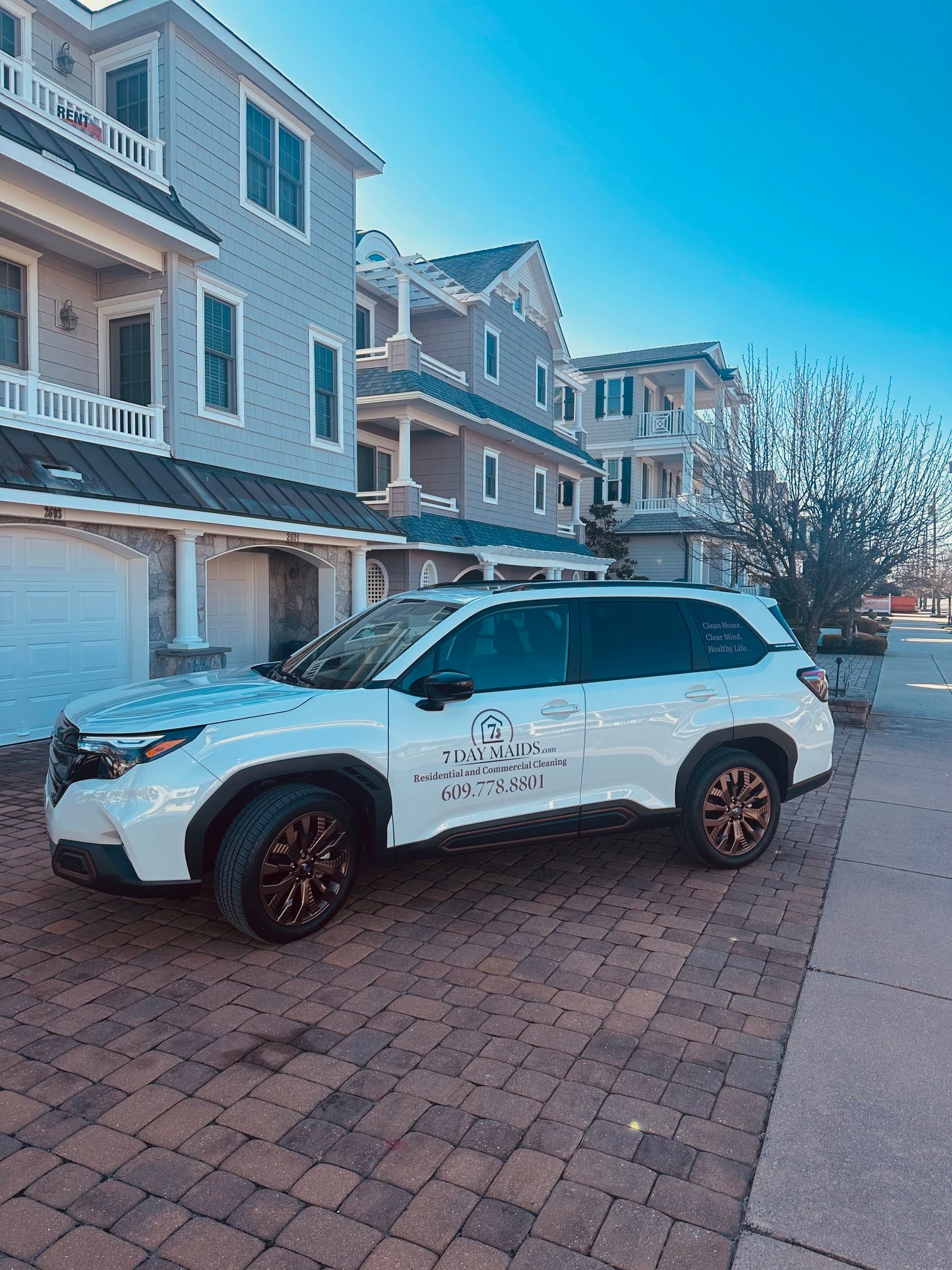 Person in a maid outfit holds a cleaning supplies bucket: wipes container, spray bottle, and blue cloth.