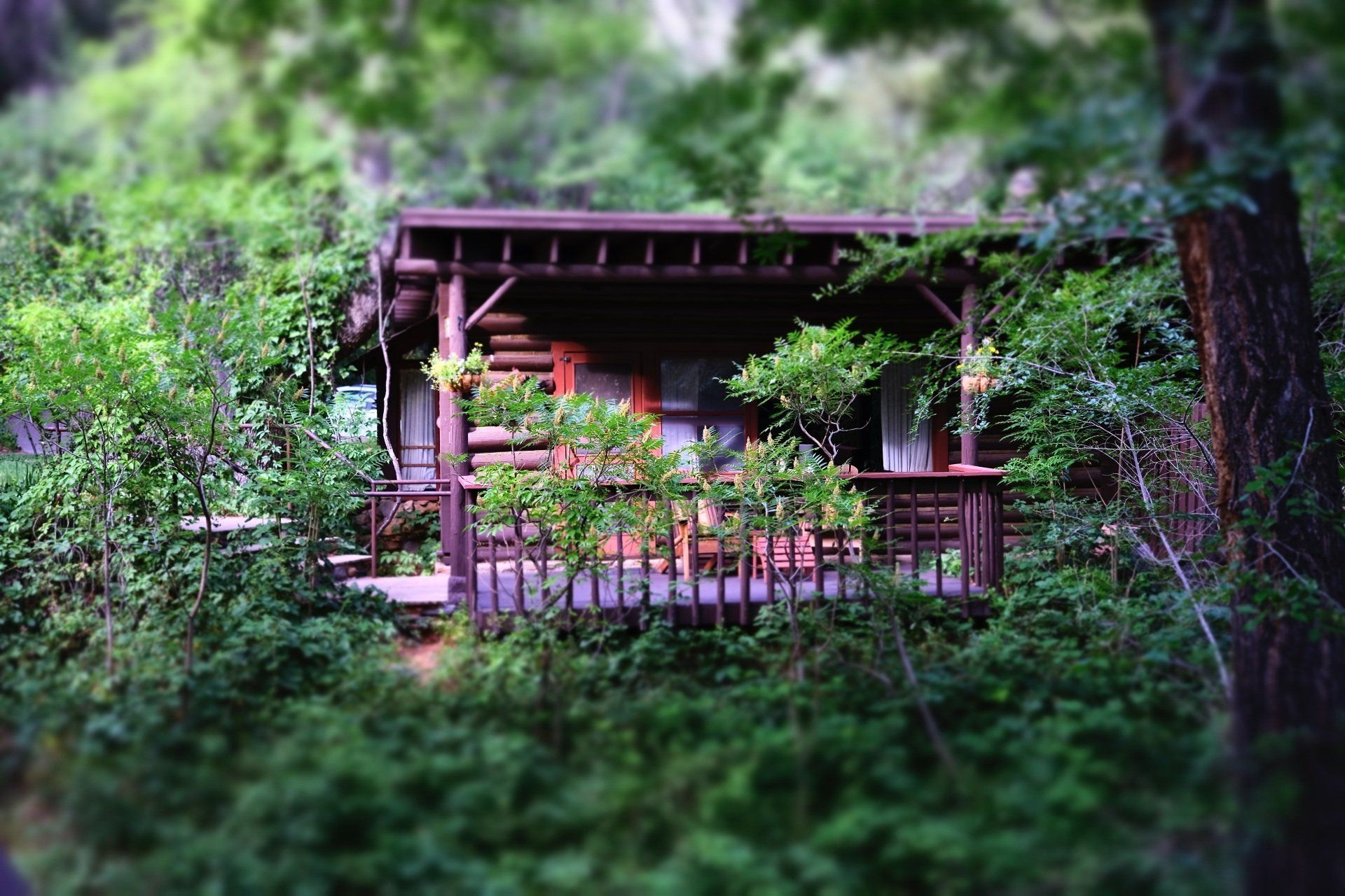 Orchard Canyon On Oak Creek Cabins In Sedona On Oak Creek