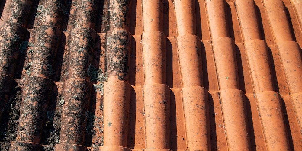 A Close Up of a Roof Tile Before and After Being Cleaned — Roof Restoration Masters In Chittaway Bay, NSW
