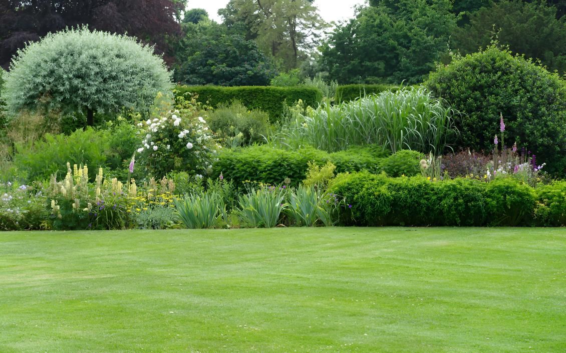 A Lush Green Lawn Surrounded By Bushes — Angel Conveyancing In Larrakeyah, NT