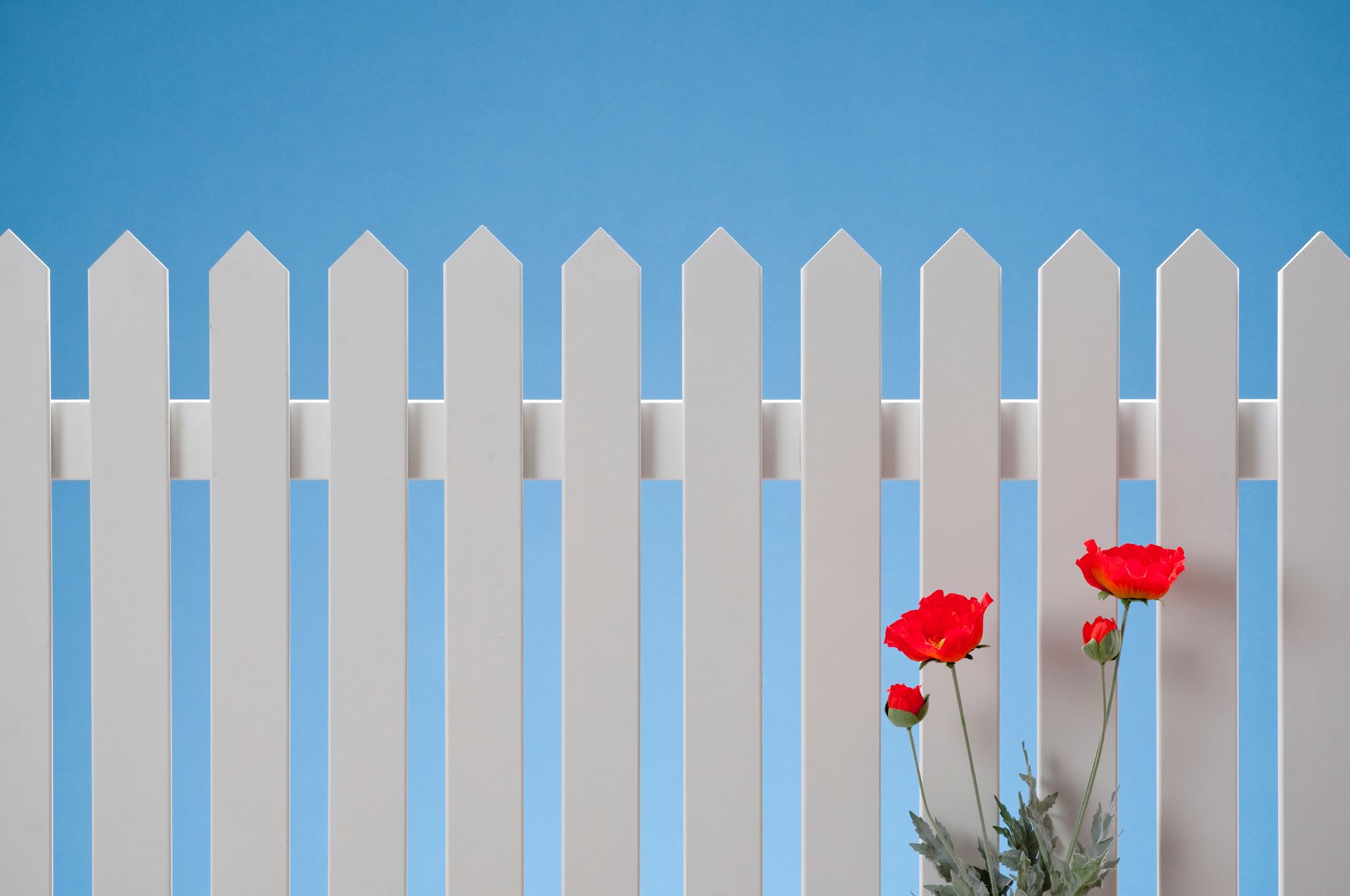 A White Picket Fence with Red Flowers in Front of It — Nuevo, CA — Golden West Fence