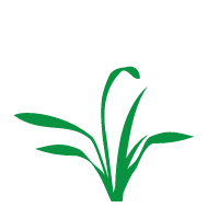 Green stylized grass or plant icon on a white background