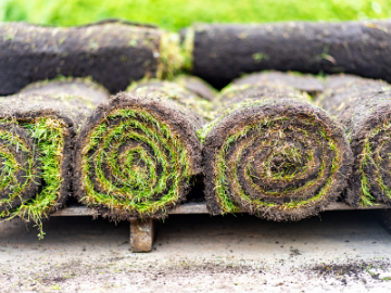 Rolled sod turf stacked in bundles, with green grass and exposed brown roots