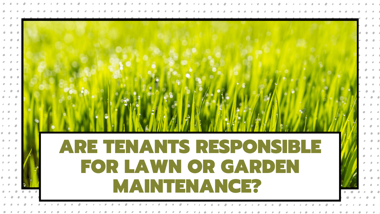 Are Tenants Responsible for Lawn or Garden Maintenance? Florida Property Management - Article Banner