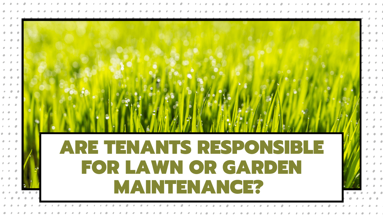 Are Tenants Responsible for Lawn or Garden Maintenance? Florida
