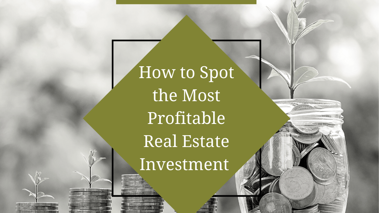 How to Spot the Most Profitable Real Estate Investment in Florida - Article Banner