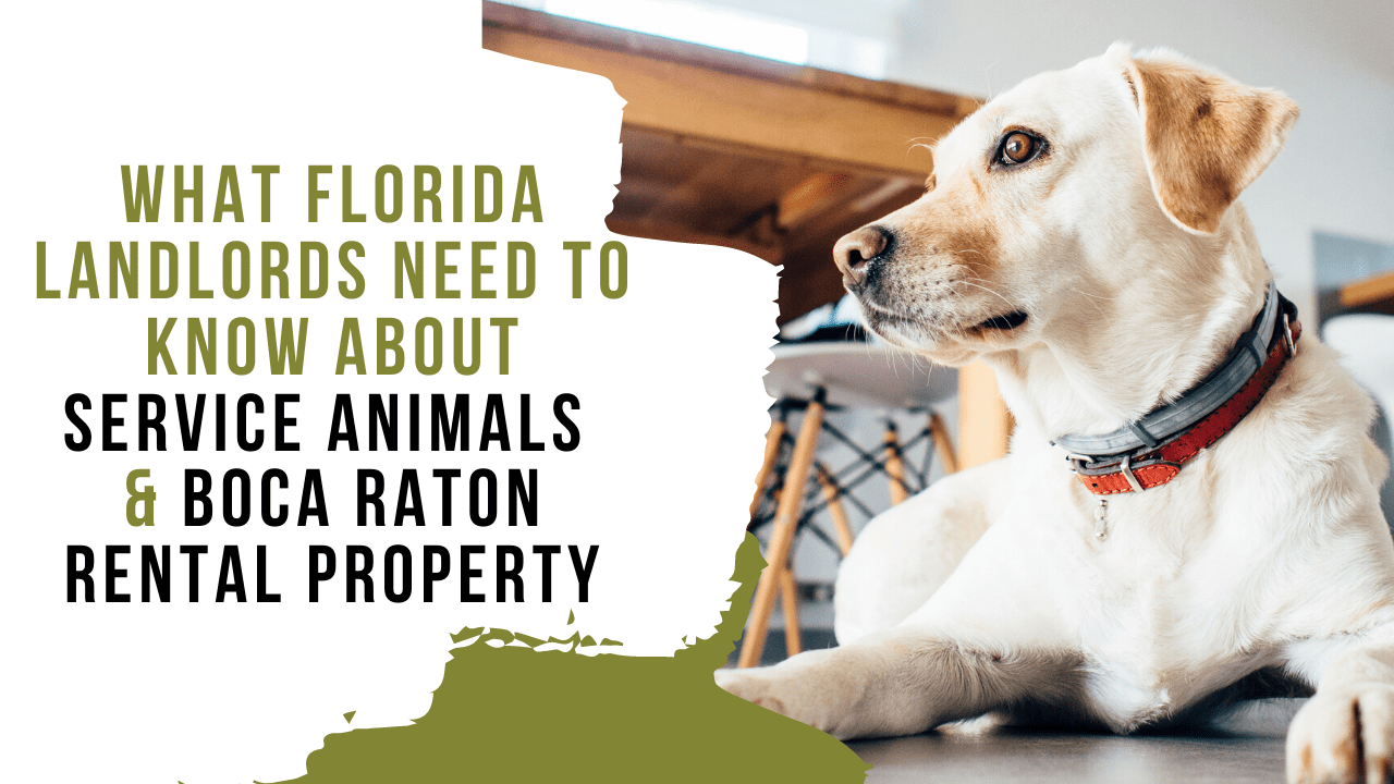 What Florida Landlords Need to Know About Service Animals & Boca Raton Rental Property - Article Banner