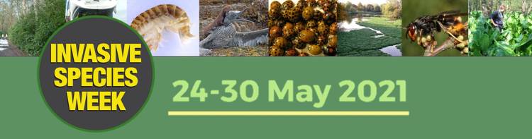 Invasive Non Native Species Week - 24 to 30 May 2021