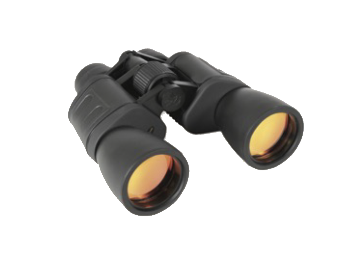 Black binoculars on a weathered wooden log with green pine branches.