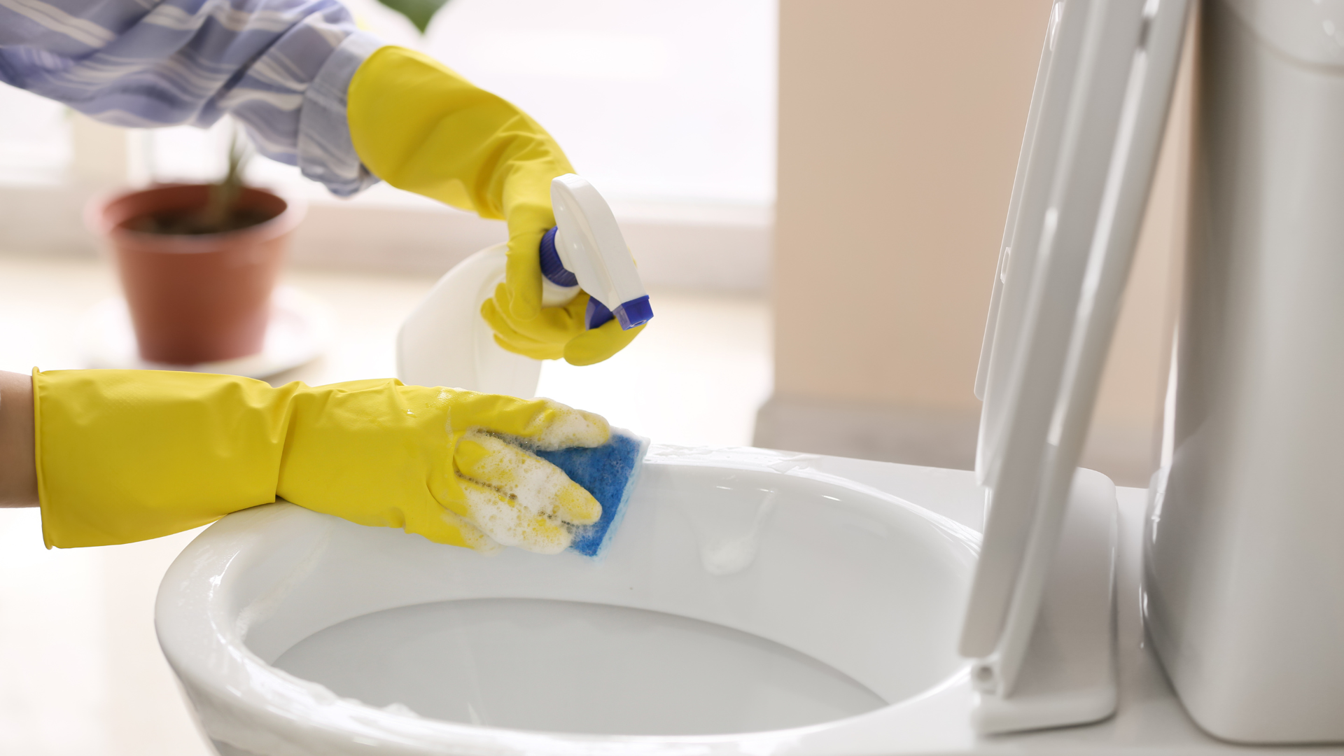 Person wearing yellow gloves cleaning a white toilet with a sponge and spray bottle.