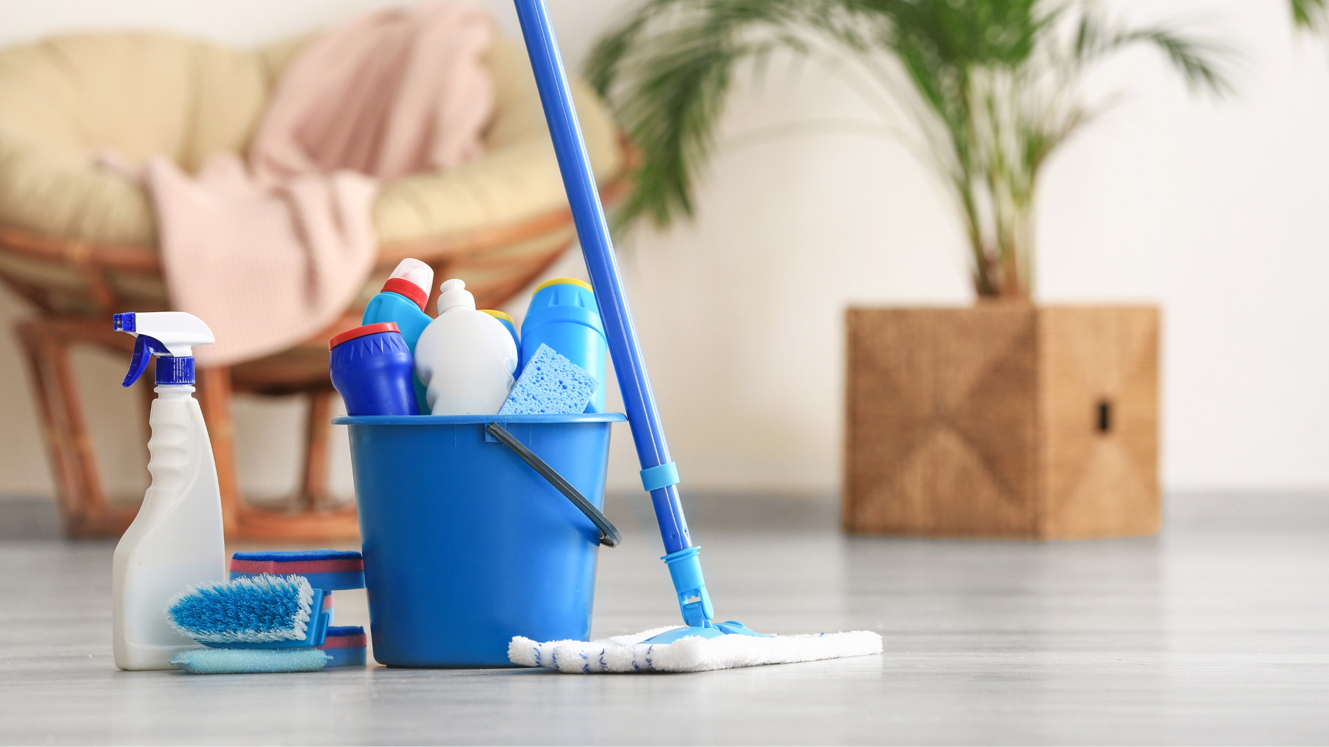 Cleaning supplies in a blue bucket and on the floor next to a mop, in a living room setting.