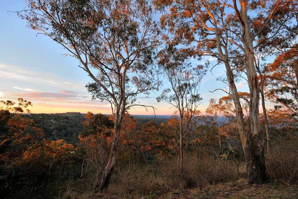 A Sunset With Trees In The Foreground And Mountains In The Background — Professional Security Guards in Toowoomba, QLD