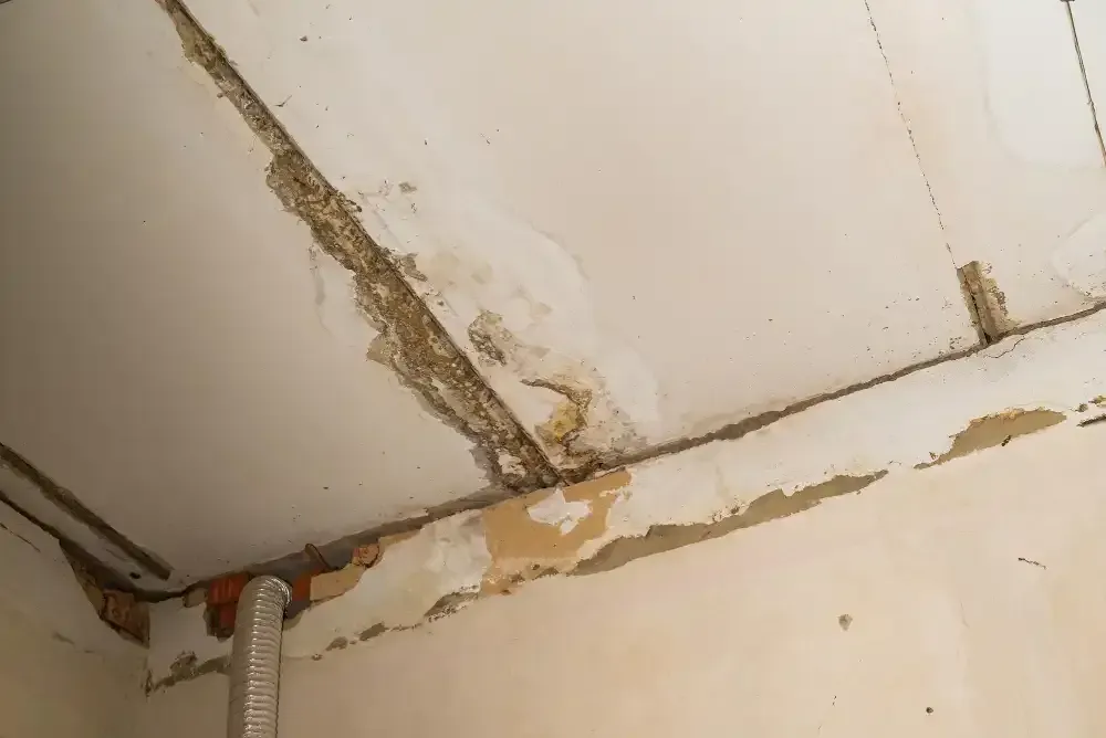 Water-damaged ceiling with peeling paint and exposed cracks near a pipe opening