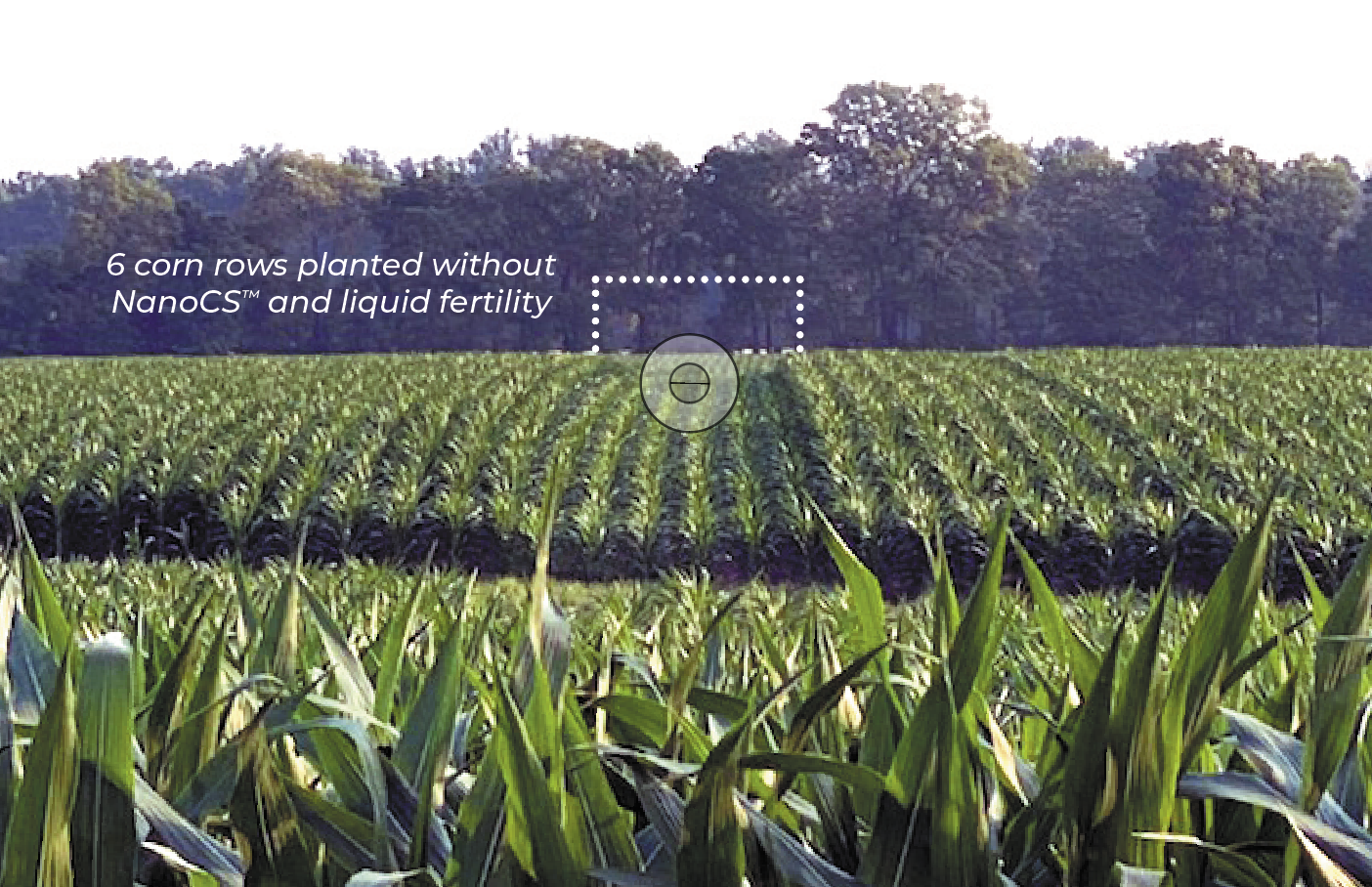 AquaYield® Corn Program