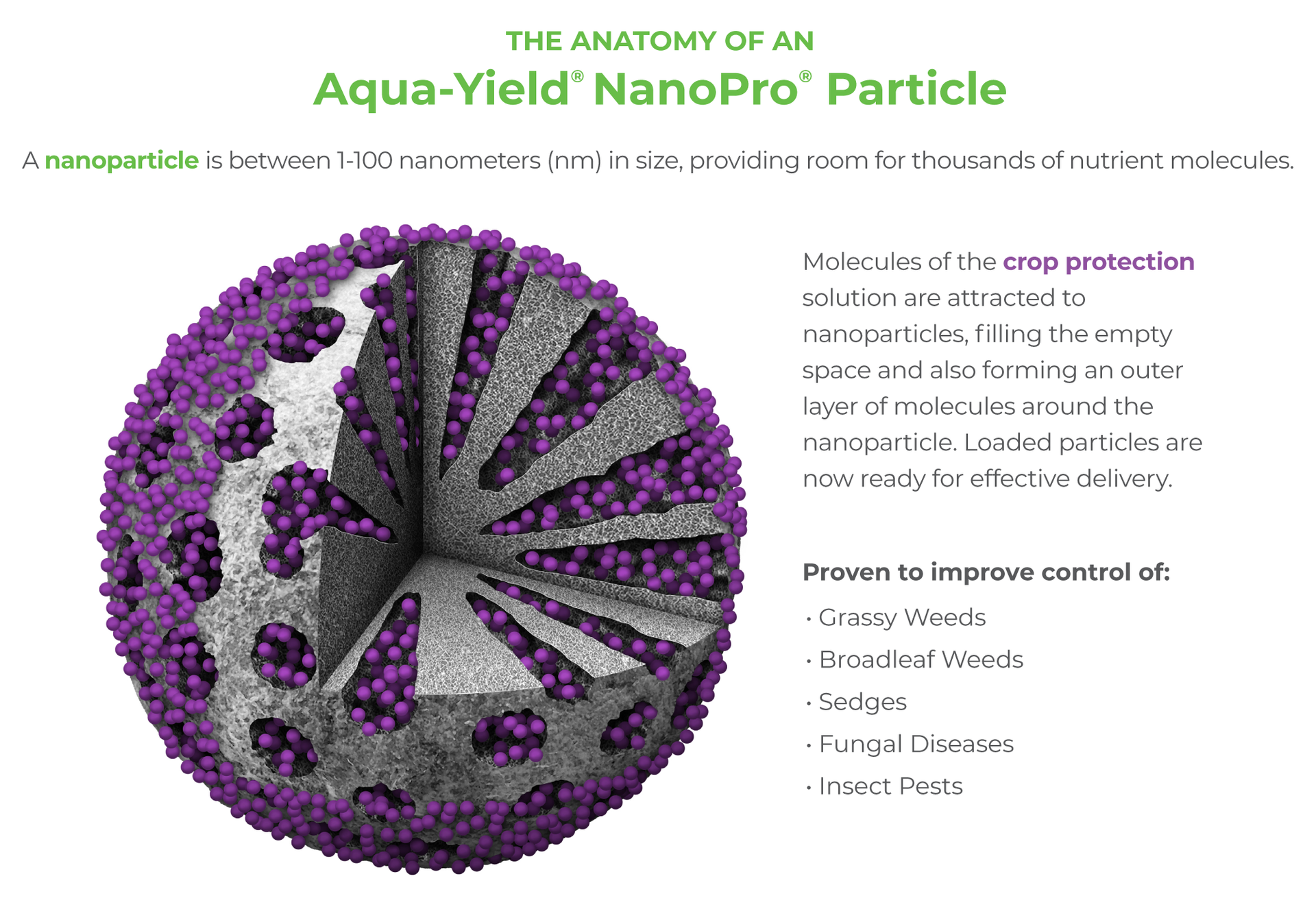 Aqua-Yield NanoPro Particle