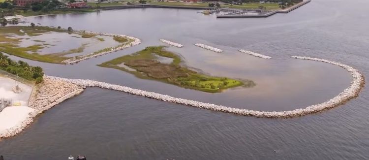 LIVING+SHORELINES