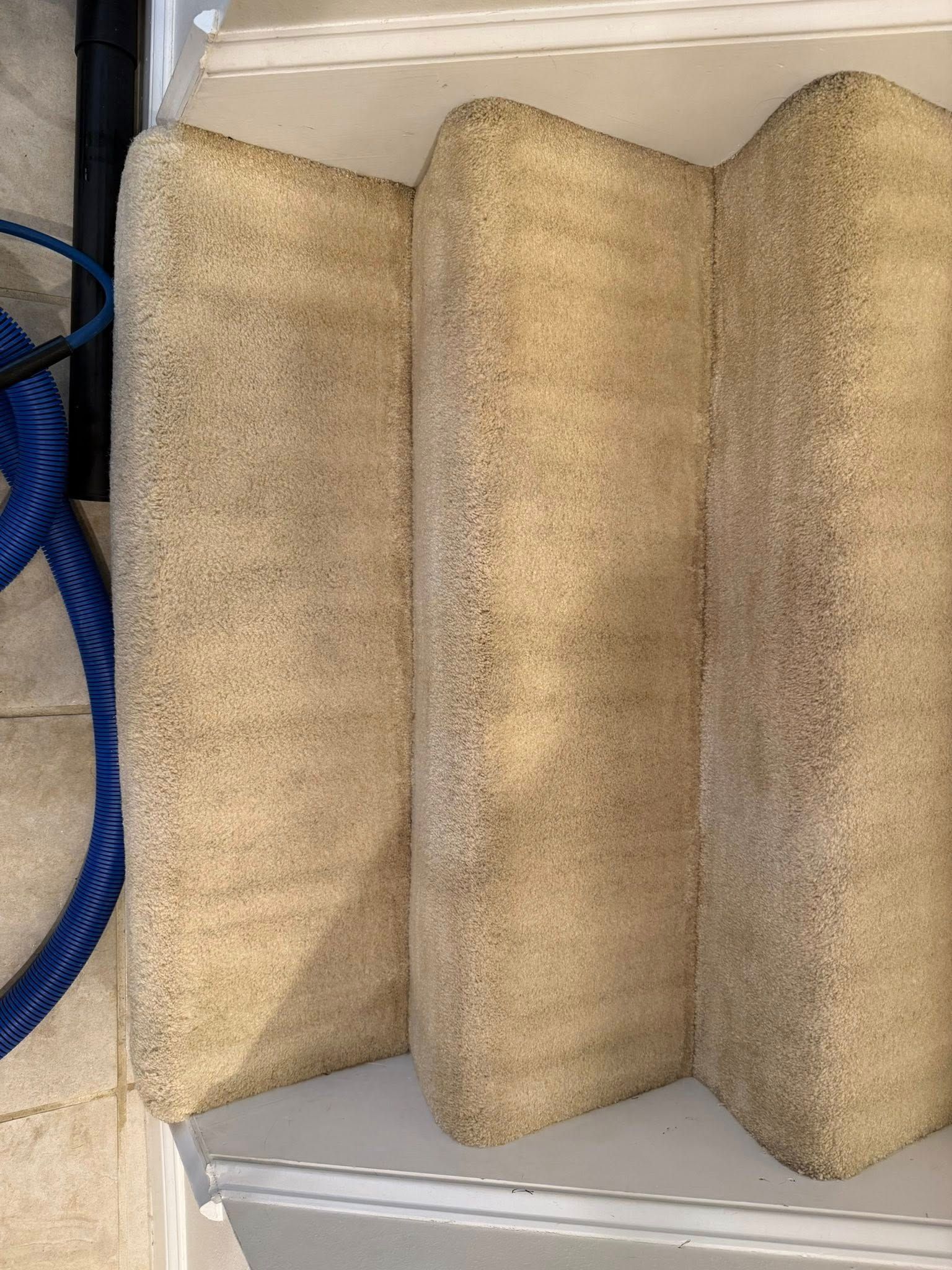 Three carpeted stair steps, beige in color, with a blue hose and white railing in view.