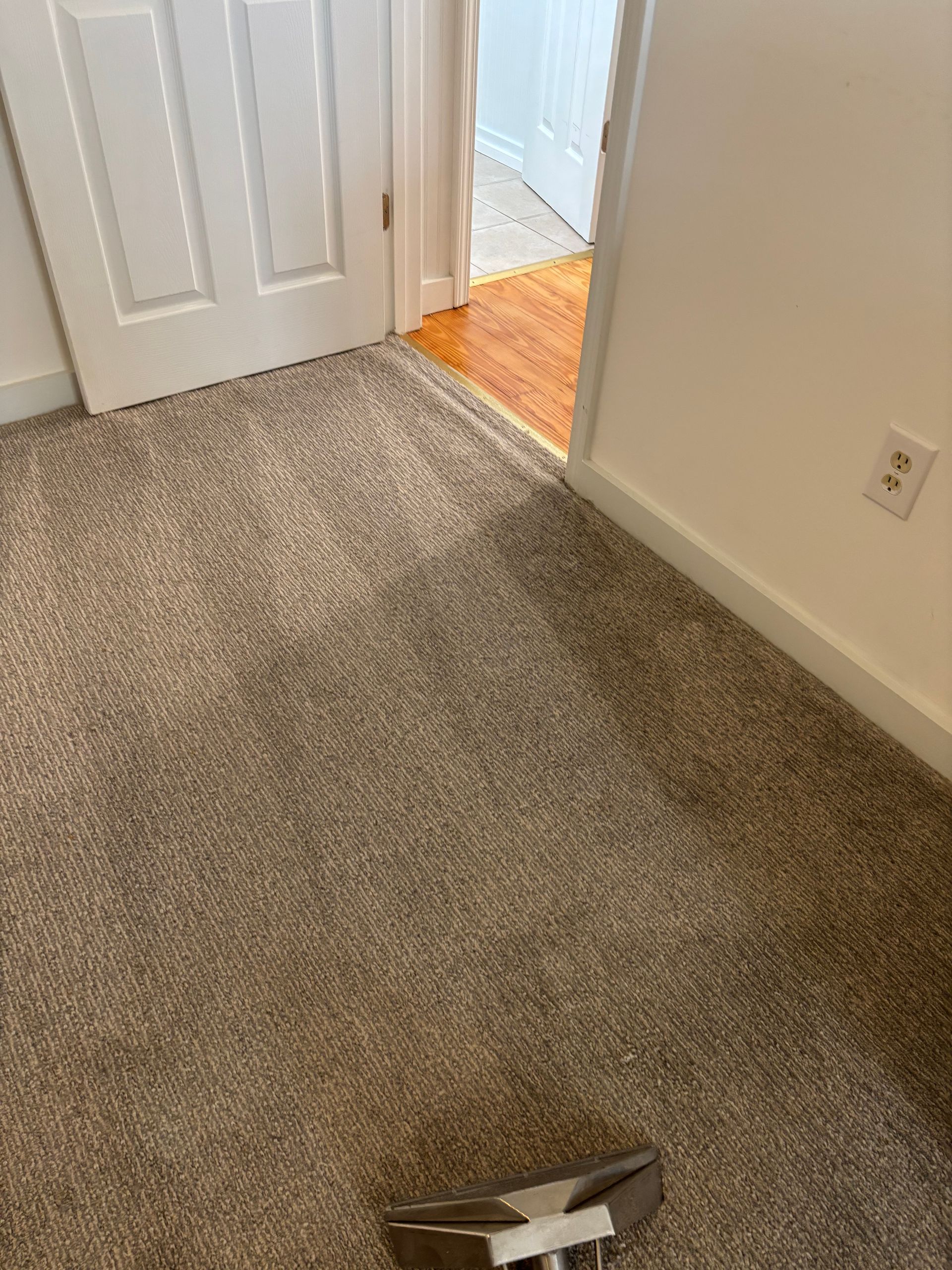 A carpet cleaner wand cleans a section of tan, speckled carpet in a room with a white door and wood flooring visible.