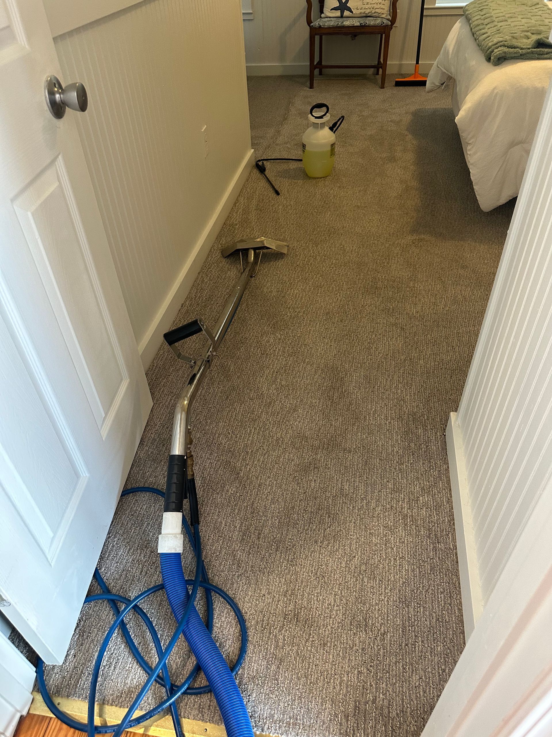 A carpet cleaning wand and blue hose lie on a carpeted floor in a bedroom, with a sprayer nearby.