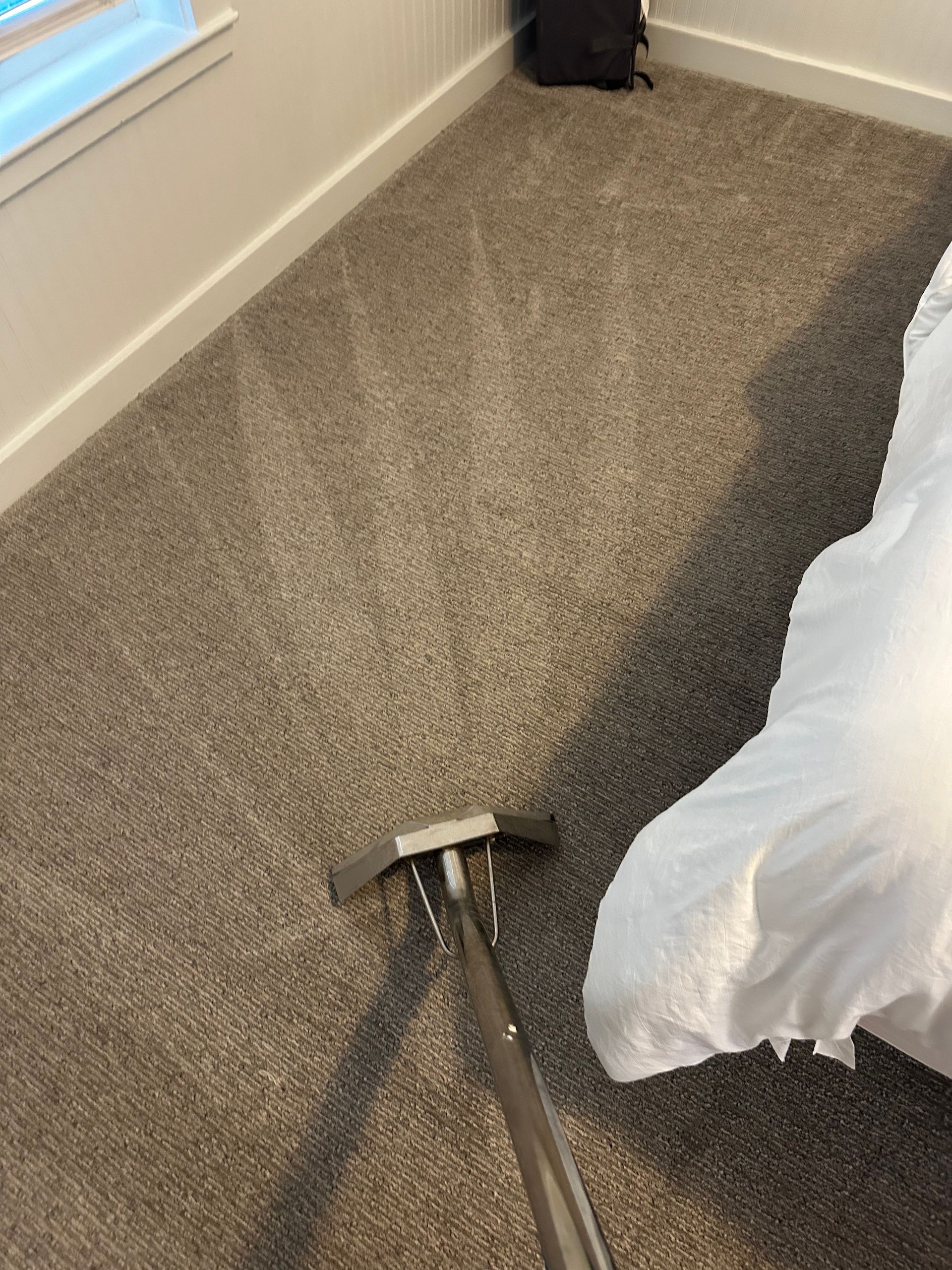 A carpet cleaning wand cleans a textured gray carpet in a bedroom next to a bed with white bedding.