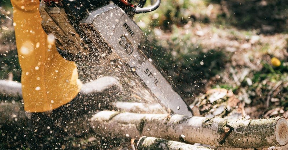 A person is cutting a log with a chainsaw.