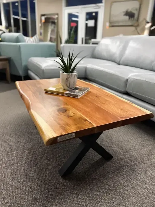 A coffee table with a plant on top of it in a living room