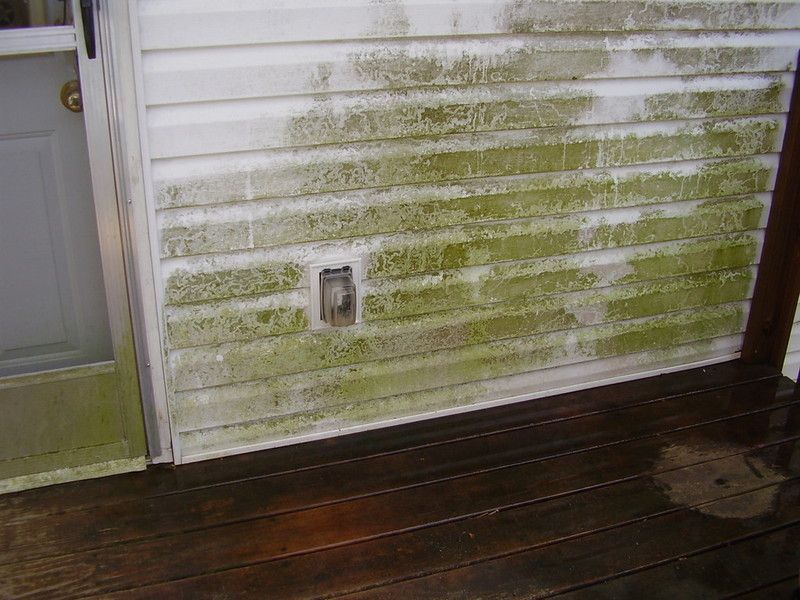 Before Cleaning Siding With Outdoor Socket – Clarkesville, GA – Xtreme Cleaning Service LLC