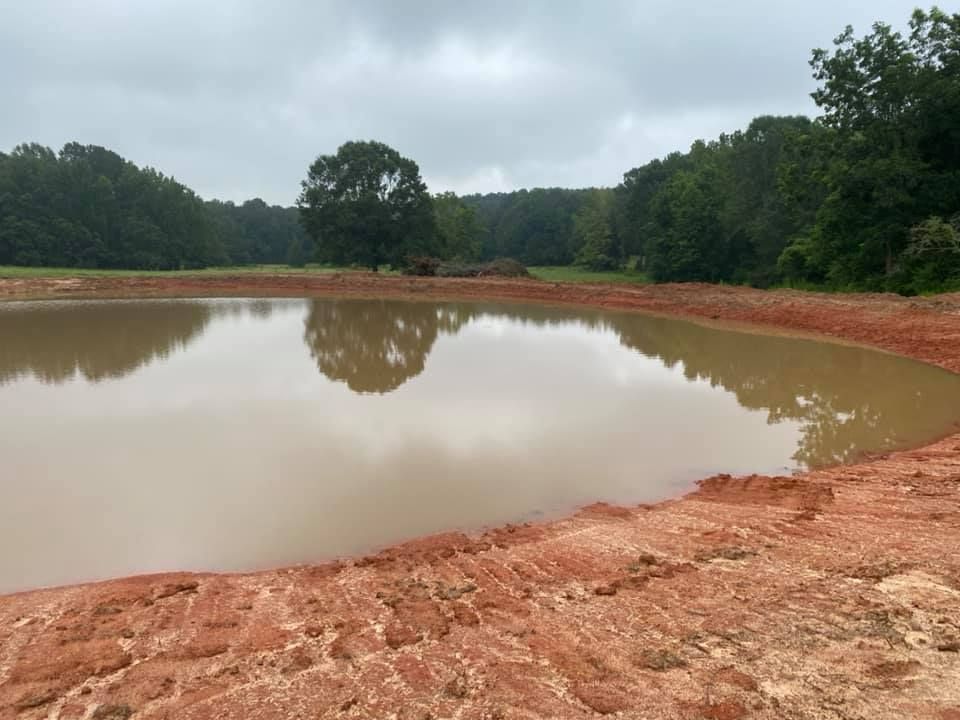 A muddy pond with trees in the background on a cloudy day