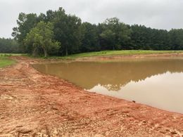 A large body of water surrounded by trees and dirt