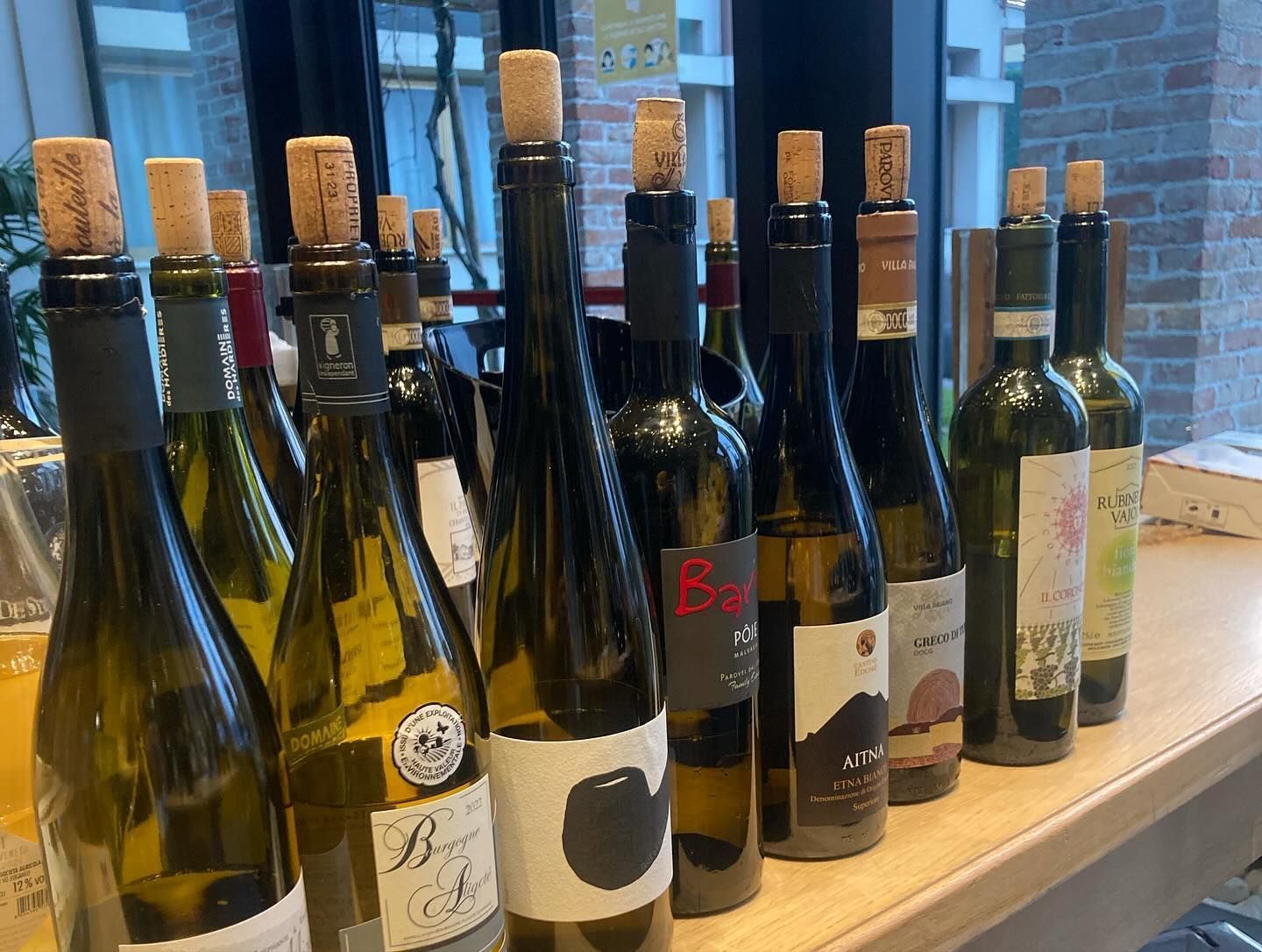 vini per piatti di pesce