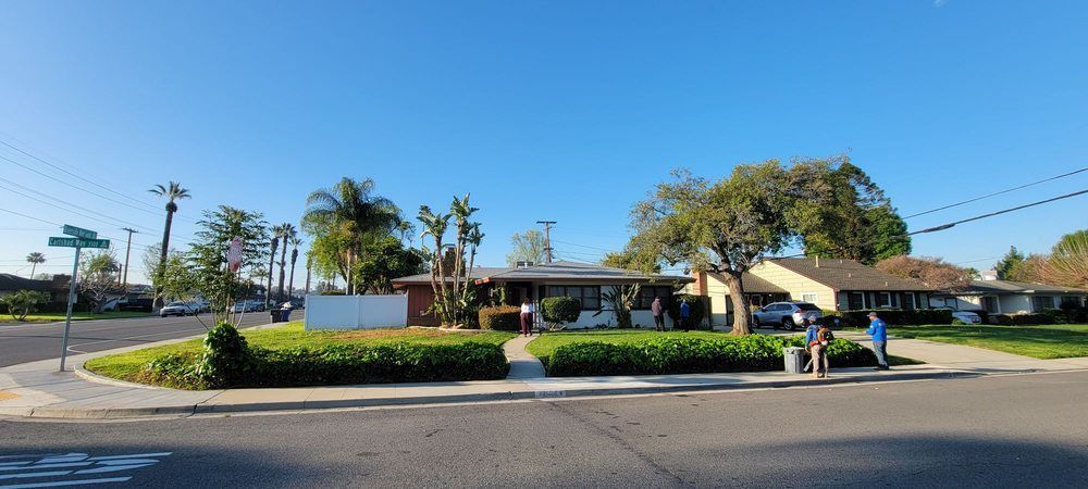 A residential area with a lot of houses and trees on a sunny day.