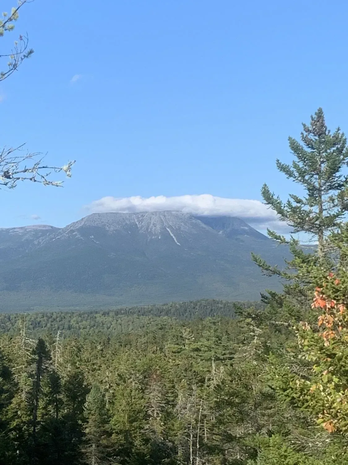 Mountain partially covered by clouds, viewed from a forest, under a clear blue sky.