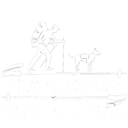 Hiker with backpack and walking stick, accompanied by a dog wearing a pack, hiking outdoors.