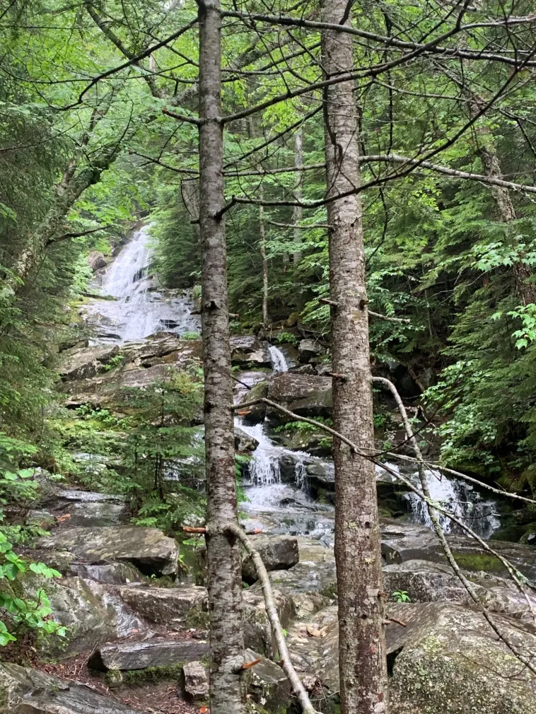Waterfall cascading down rocky terrain, framed by trees in a lush forest setting.