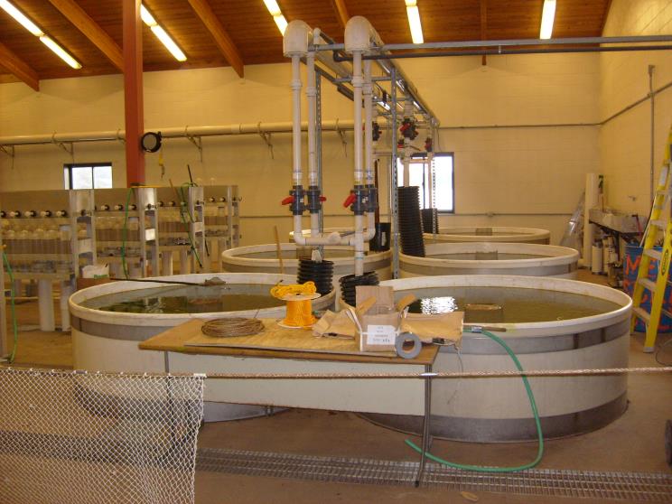 Huge Water Containers — Arbor Vitae, WI — Howard Bros.