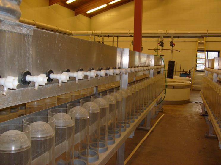 Water Faucets Lined Up — Arbor Vitae, WI — Howard Bros.