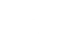 A white background with a few lines on it