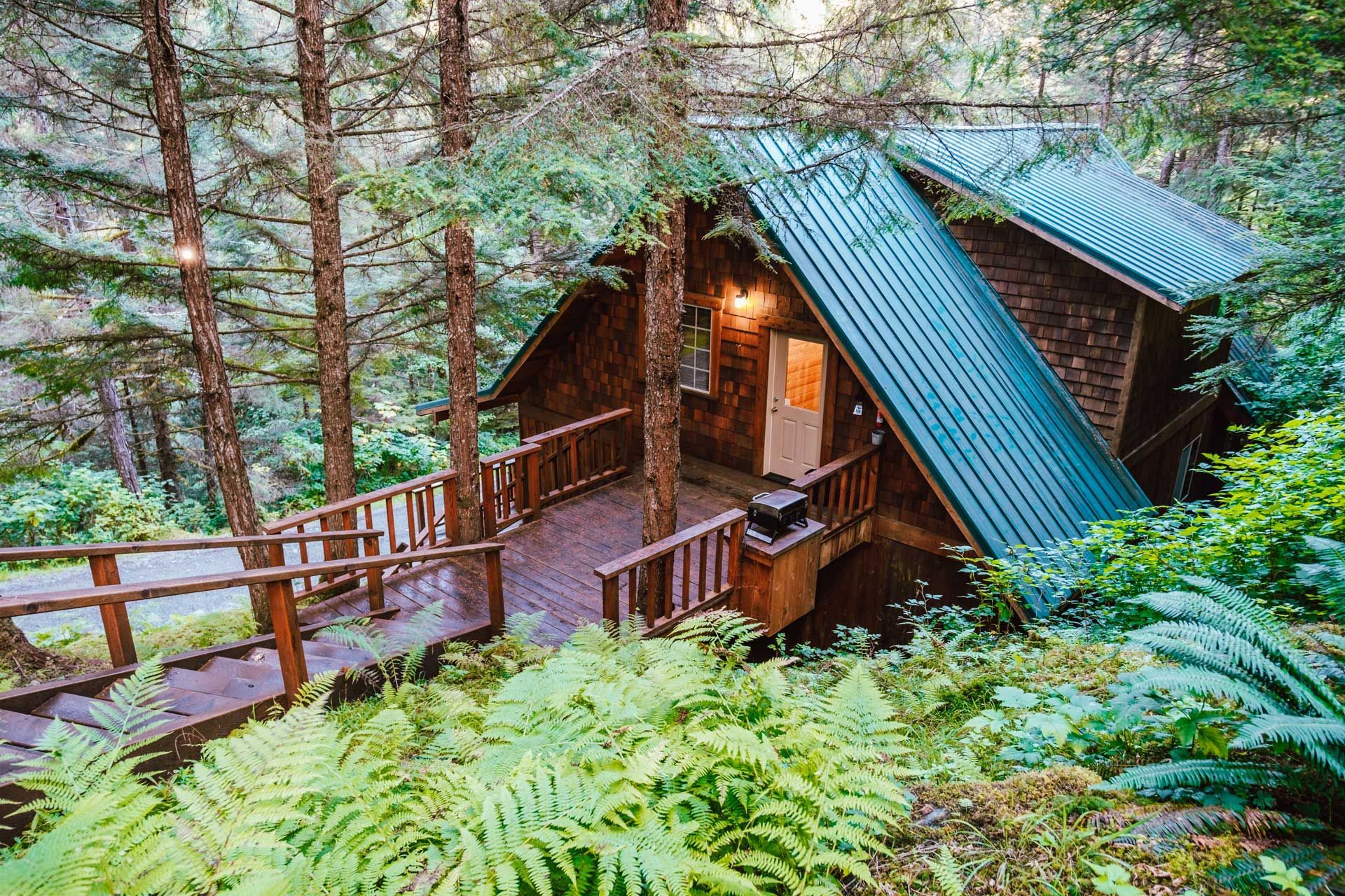 Wooden cabin nestled in a lush forest with a green metal roof, surrounded by ferns and trees. A wooden deck and stairs lead to the cabin.