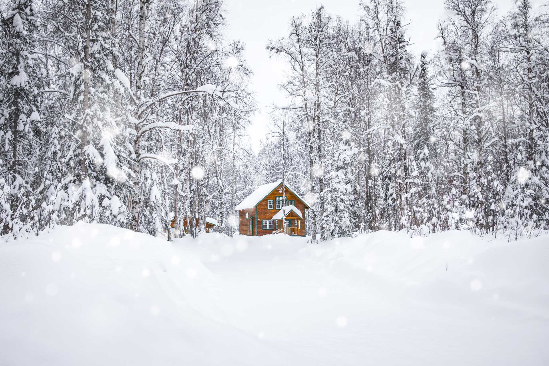 A log cabin in the middle of a snowy forest.