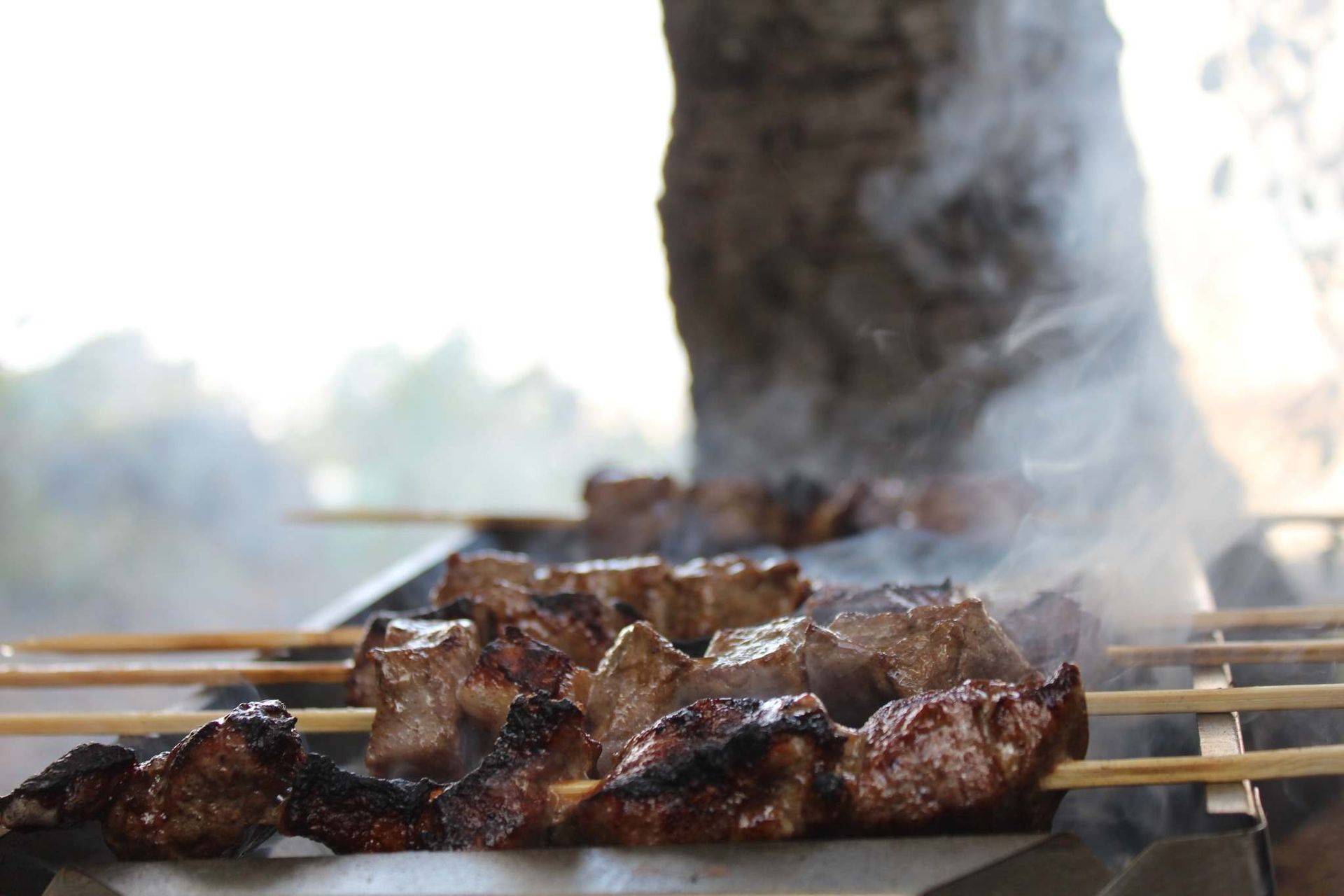 Grilled Meat Skewers, Smoky Haze Rising — The Habibiz Catering in Port Macquarie, NSW 
