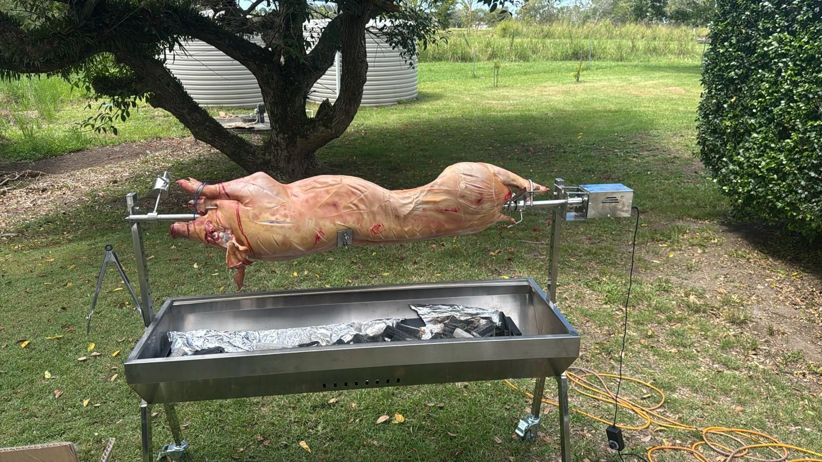 A whole roasted pig on a spit over a charcoal fire in a grassy outdoor setting. — The Habibiz Catering In Wingham, NSW